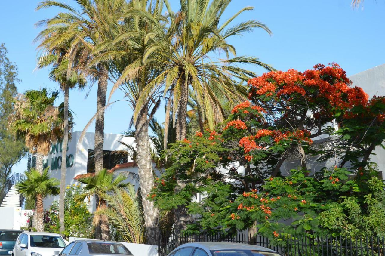 Ocean Loft Apartment Maspalomas  Exterior photo